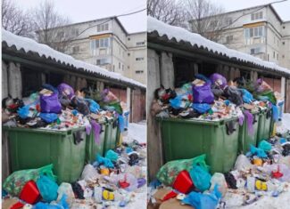 puncte gospodaresti gunoi flroesti