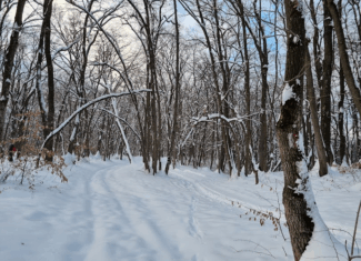 zapada iarna cluj faget