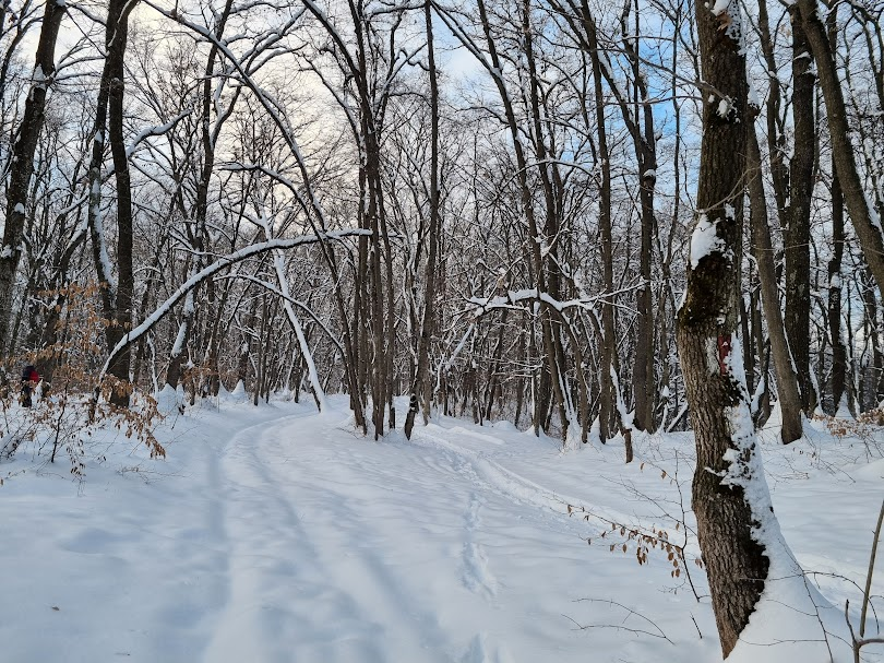 zapada iarna cluj faget