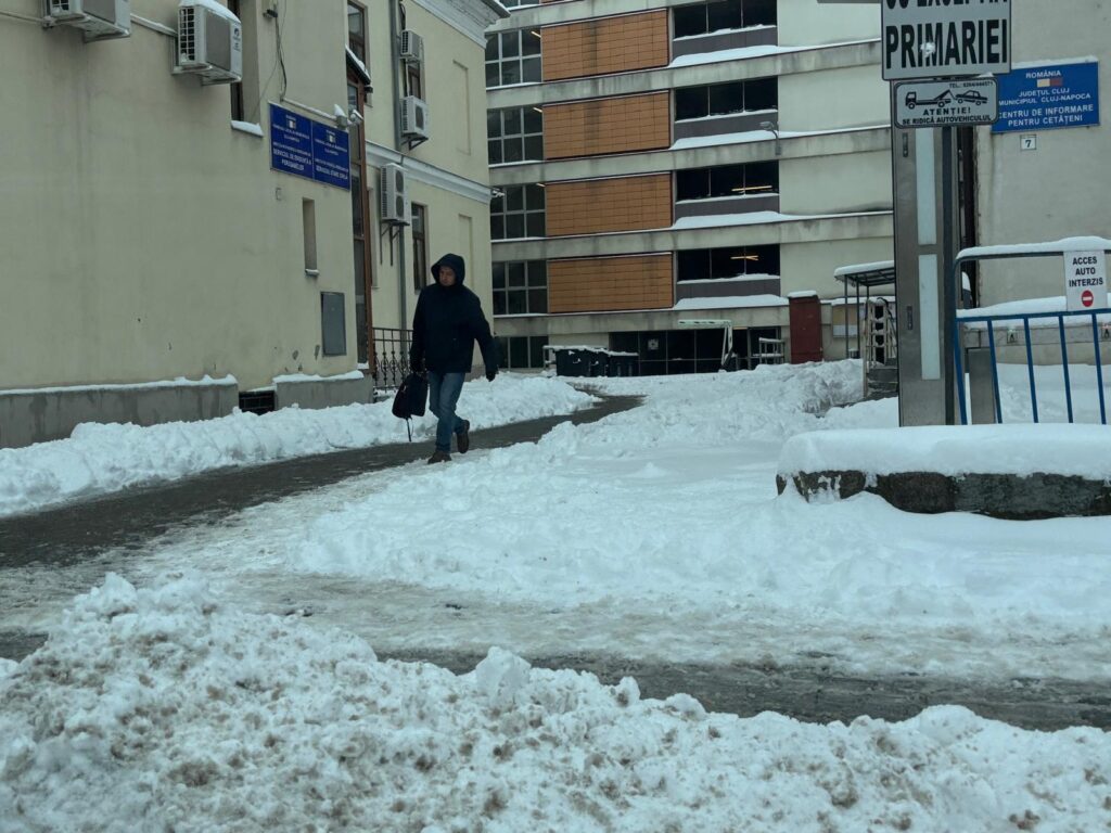 zapada cluj curtea primariei