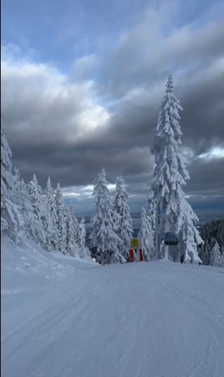 schi poiana bvrasov romania