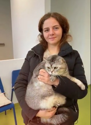 program sterilizare caini pisici primaria cluj emil boc