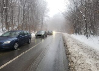 salicea polei drum cluj-napoca