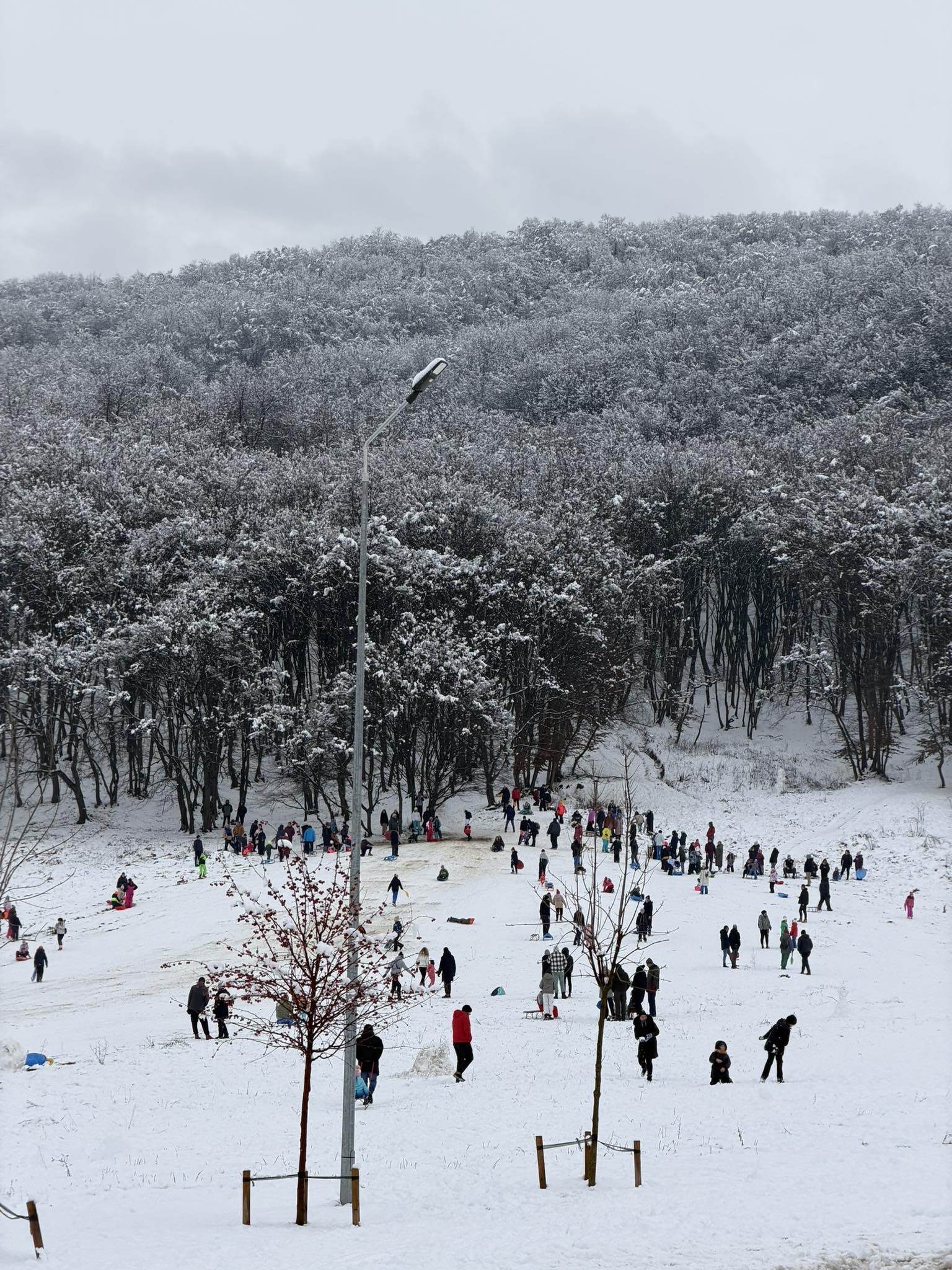 sanius flroesti sub cetate baza sportiva