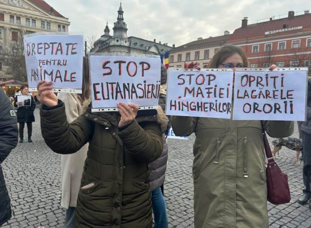 Animale cluj protest