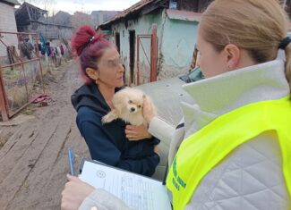 caini actiuni informare sterilizare cluj