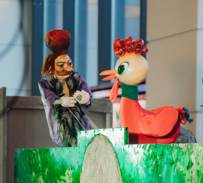 Teatru de Papusi, teatru de papusi cluj