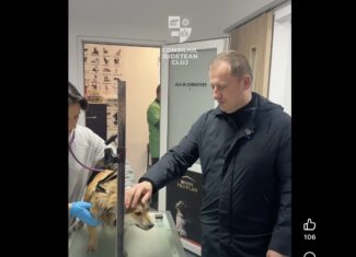 program microcipare caini, Radu Ratiu