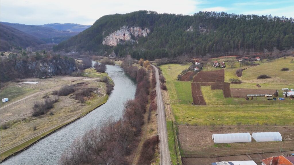 defileu cris cale fertaa cluj bihor alesd
