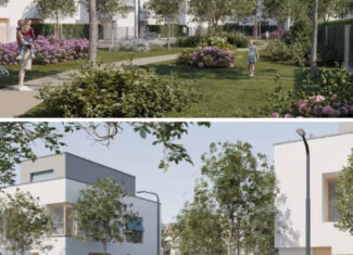 proiect damian steluta cluj