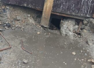 centrua flroesti DN 1