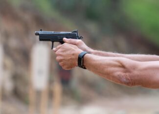 Image by paulsaa from Pixabay