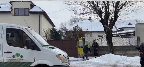 copaci grigorescu cluj