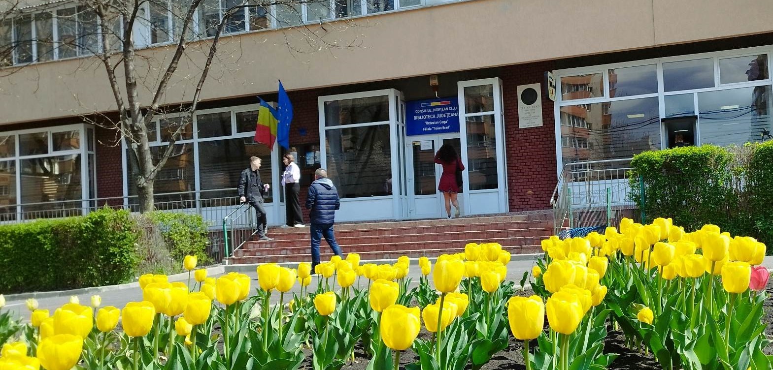 filiala Traian Brad Manastur Biblioteca Judeteana Cluj