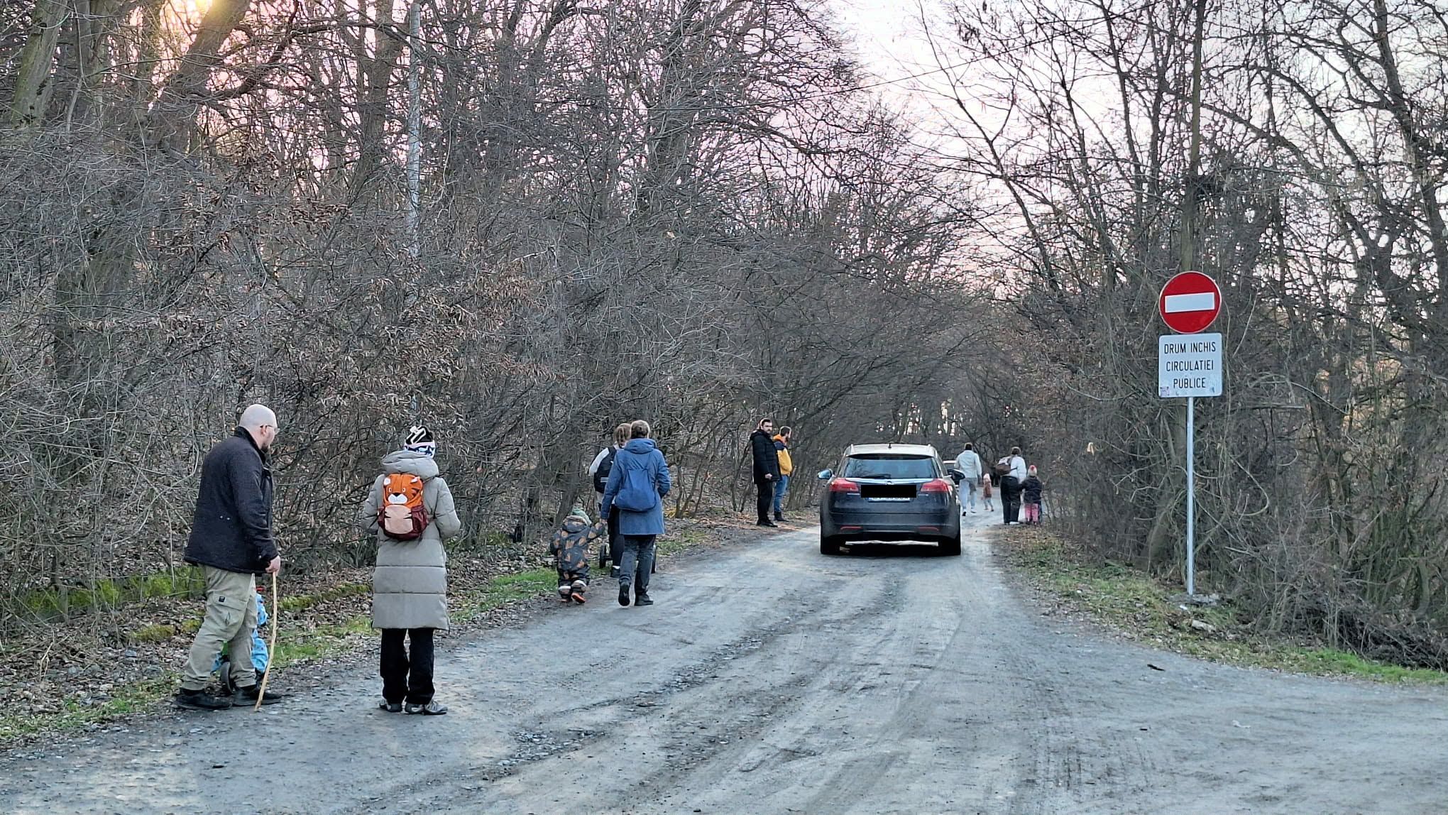hoia masini drum padure cluj