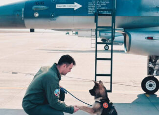 pilot mort intr-un accident stupid campia turzii octavian plaferent