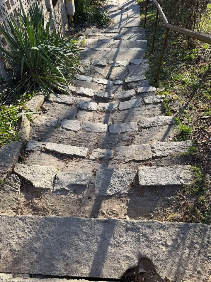 strada galileo galilei cluj scari cetatuie 2