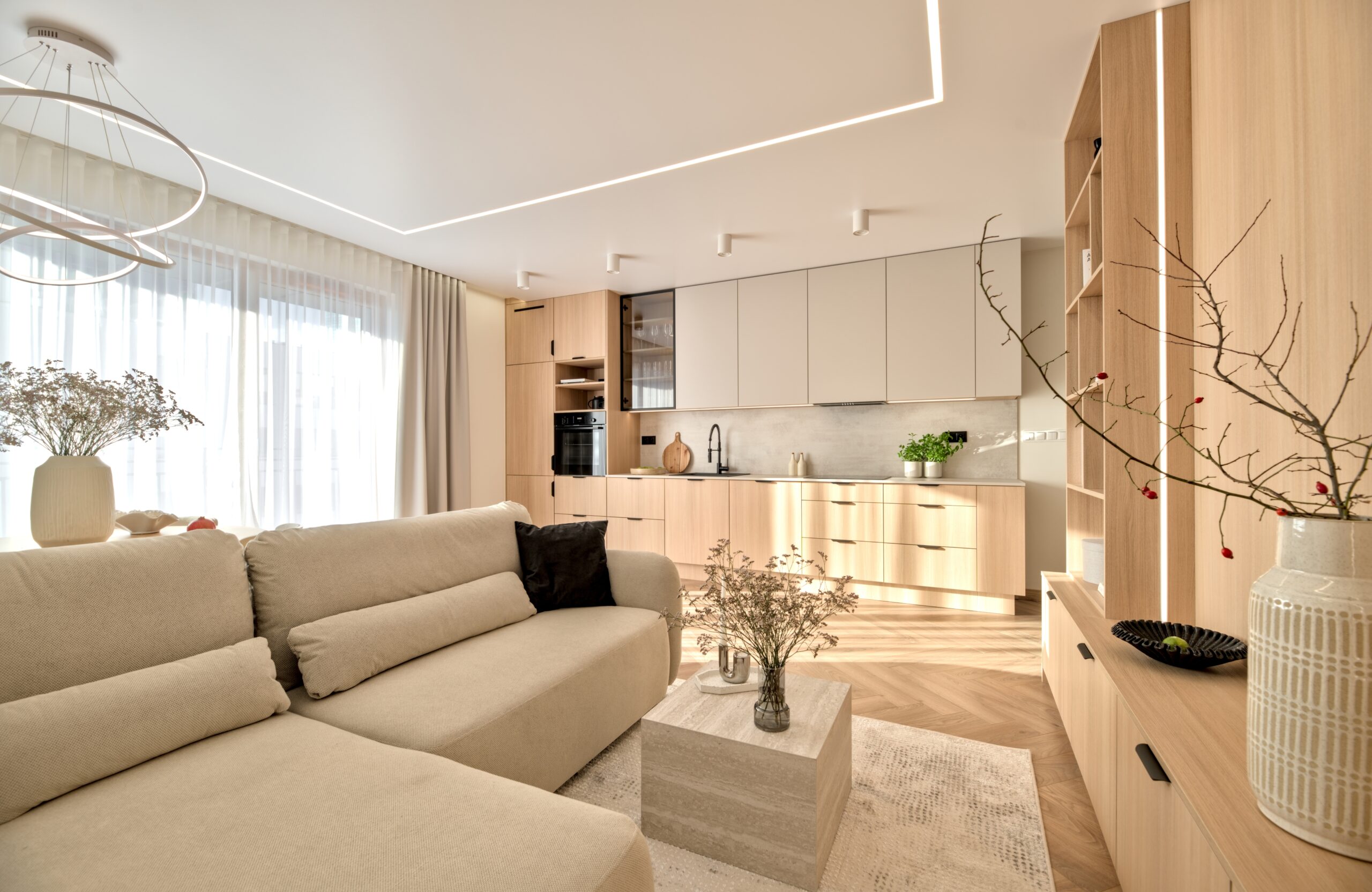 apartament, mobila, casă, bucatarie cu living