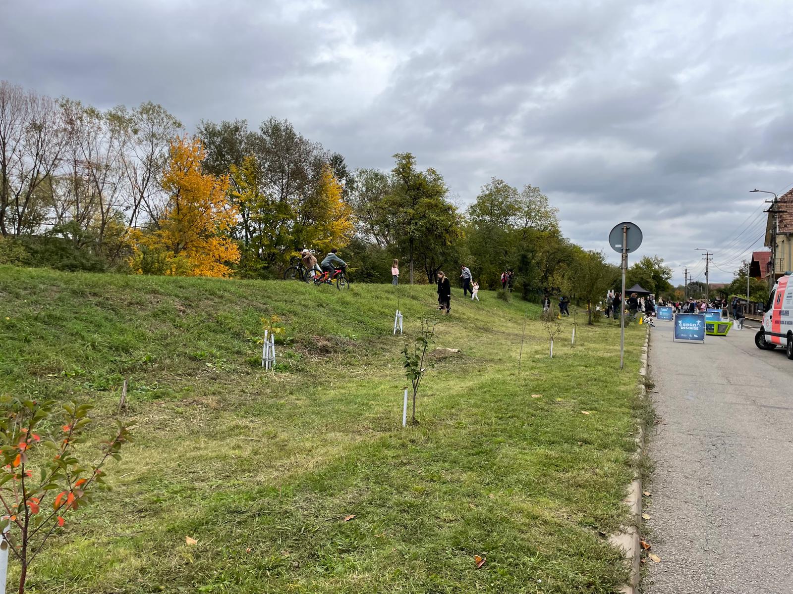 someseni somes natural cluj stiri