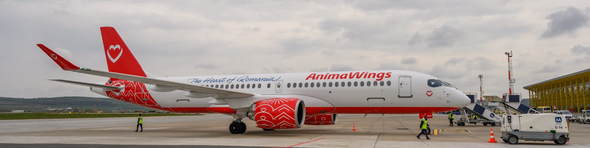 anima wings viena cluj frankfurt
