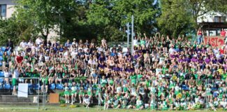 usamv studenti straini