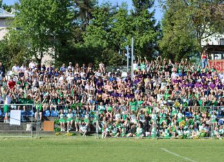 usamv studenti straini