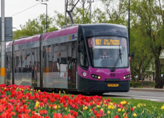 Transport public cluj