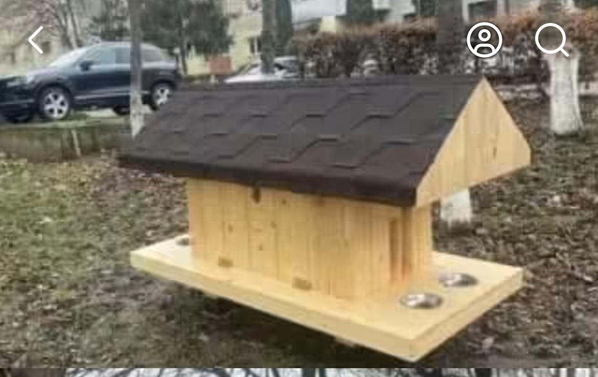 Casute pisici fara stapan