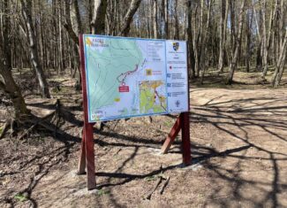 traseul faget persoane dizabilitati