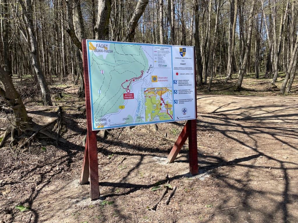 traseul faget persoane dizabilitati