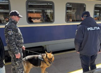 controale tren gara politia cluj