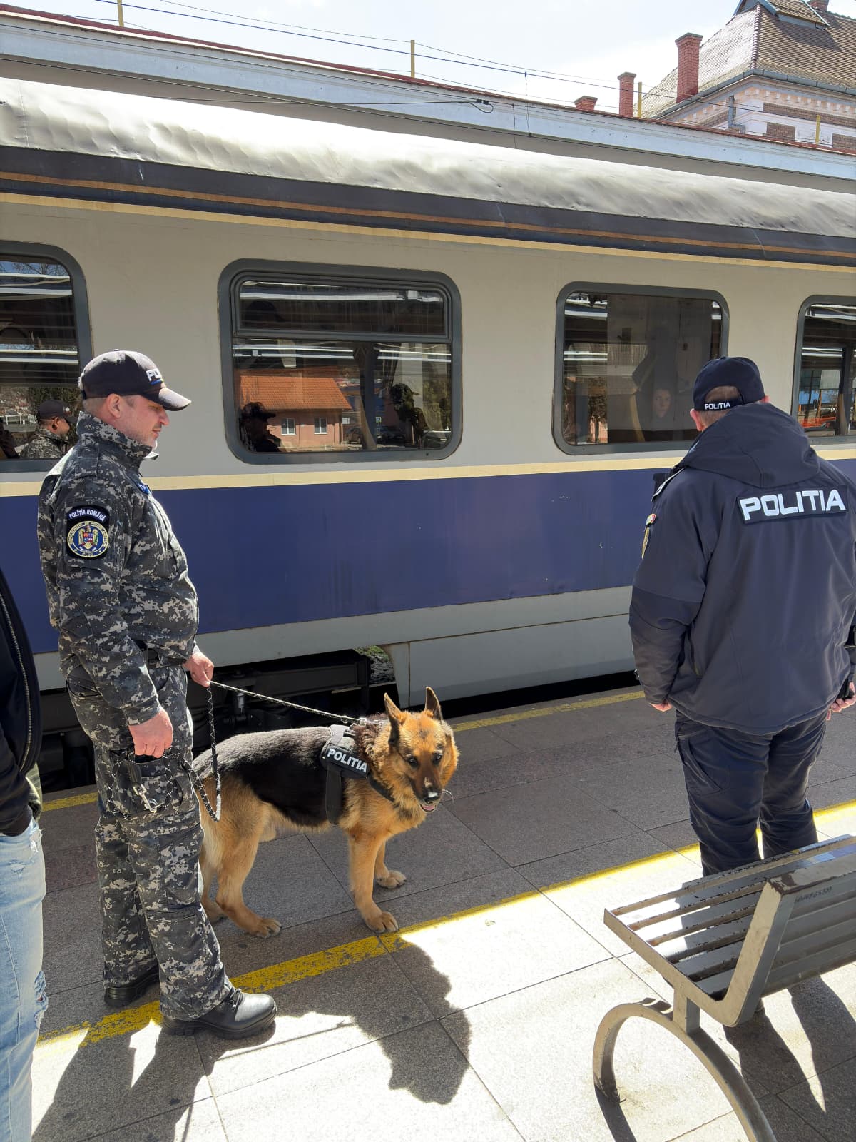 controale tren gara politia cluj