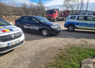 controale garda forestiera politia cluj huedin