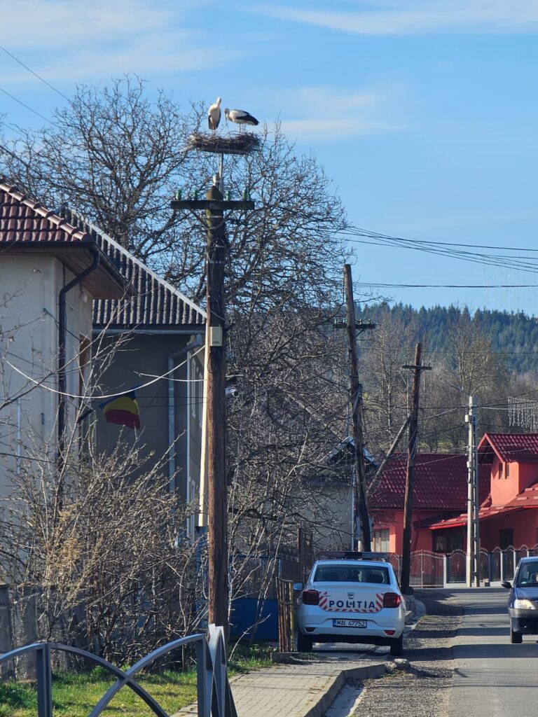 berze politia catatele cluj