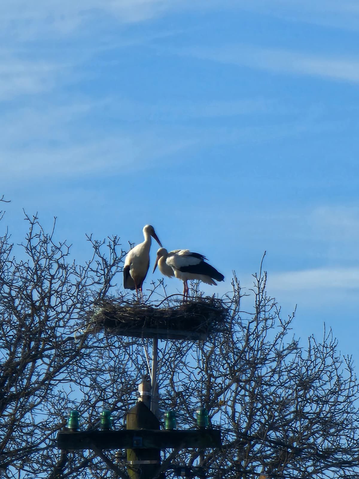 berze sediu politie calatele cluj