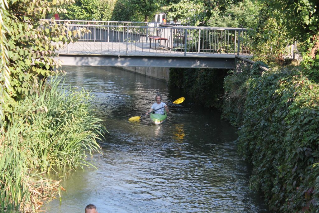 verde pe canalul morii 