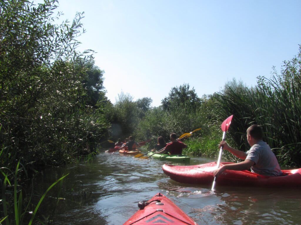 reghin canalul morii