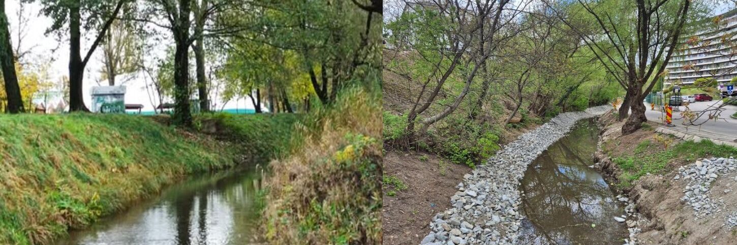 canalul morii cluj stiri
