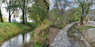 canalul morii cluj stiri