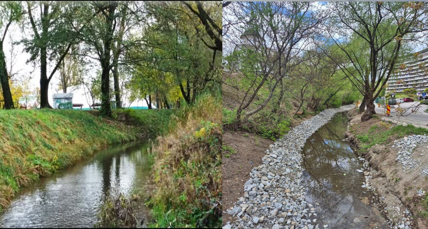 canalul morii cluj stiri