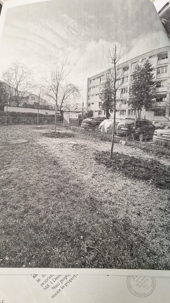 copaci replantare cluj 