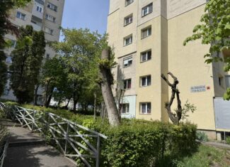 copaci toaletati strada mehedinti Cluj