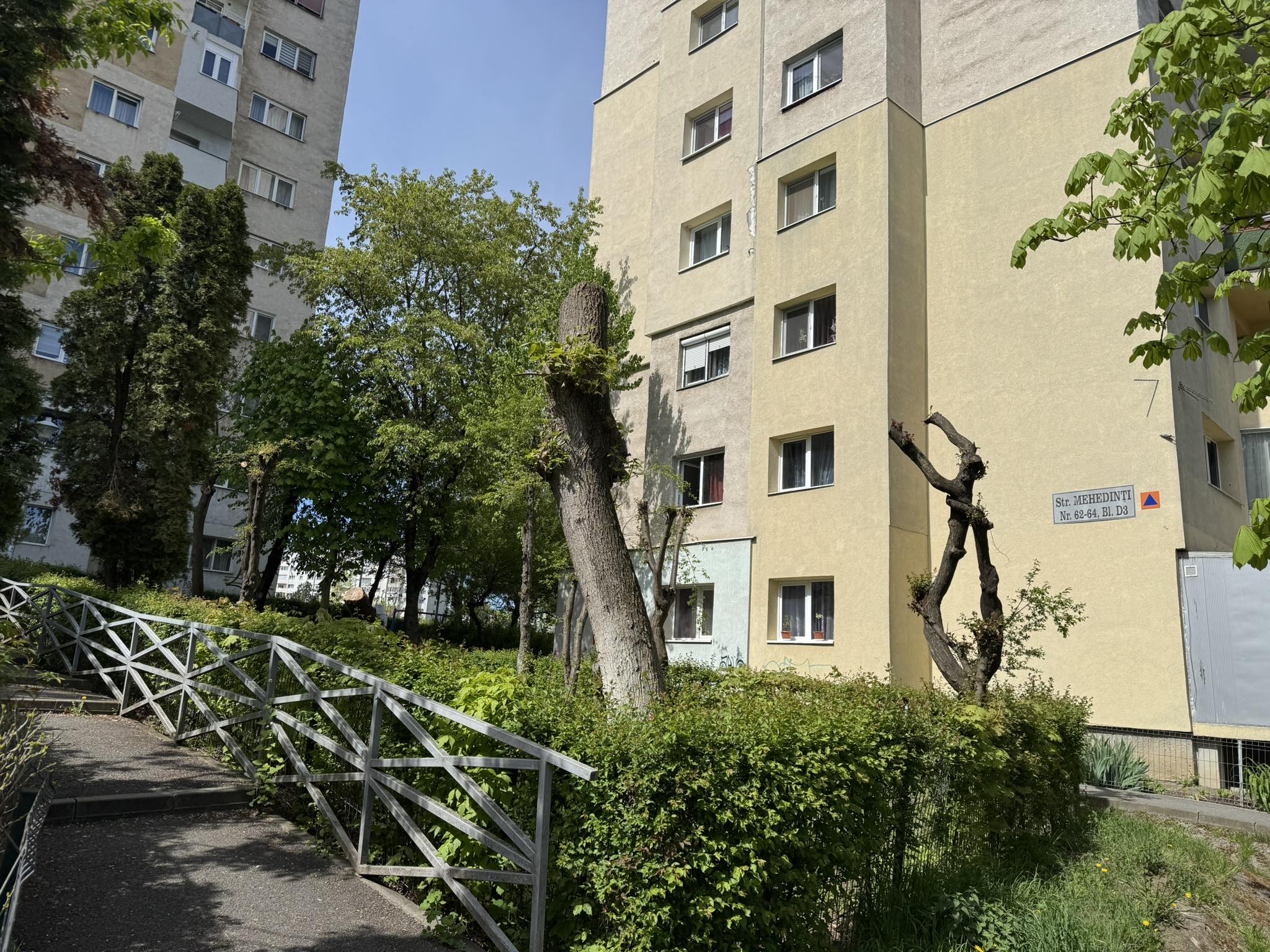 copaci toaletati strada mehedinti Cluj