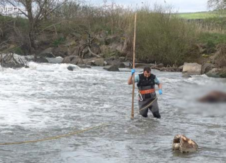 cal gherla sursa gherlainfo.ro