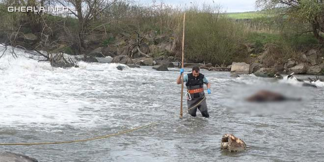 cal gherla sursa gherlainfo.ro