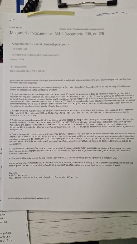 scrisoare multumire copaci 