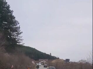 strada crizantemelor floresti