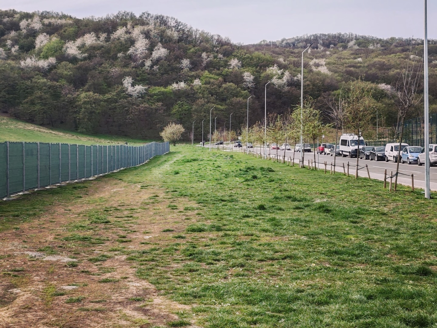 metrou cluj floresti