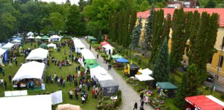 horticultura usamv cluj