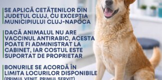 caini cluj campanie